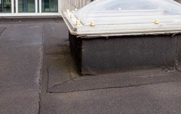 disadvantages of Martyr Worthy flat roofs