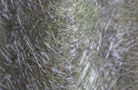 Martyr Worthy fibreglass roof work